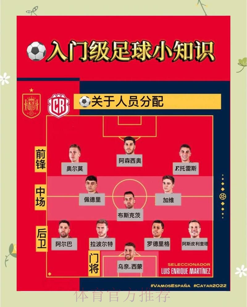 本届世界杯荷兰凯恩焦点对决完整指南